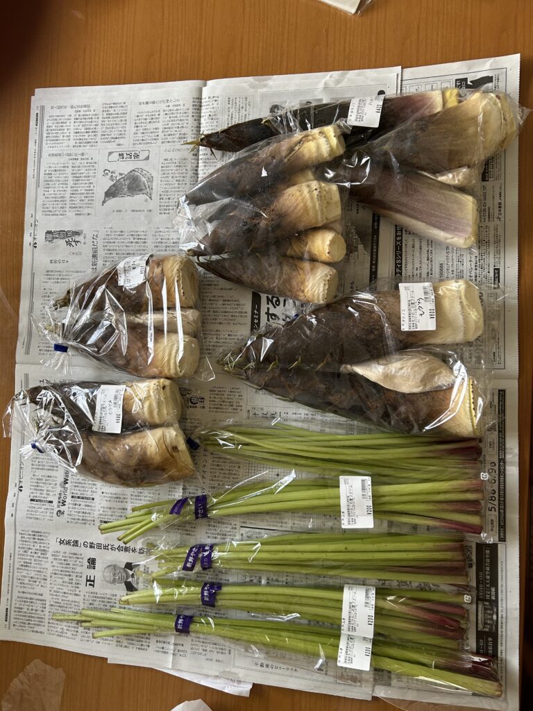 【お問い合わせ用】令和7年度　たけのこ 5／11日 今日の出荷状況 – たけのこの里ファーム